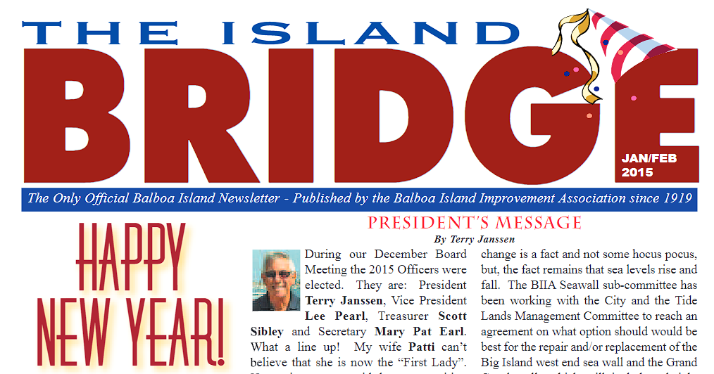 The Island Bridge : Winter 2015